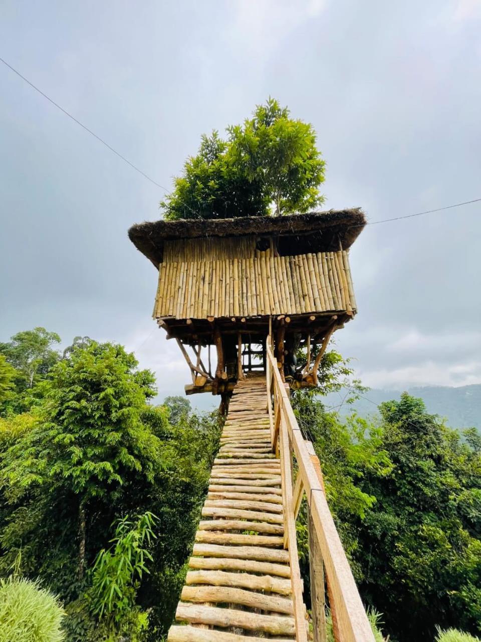 Villa Palkulam Heights Kumudi Esterno foto
